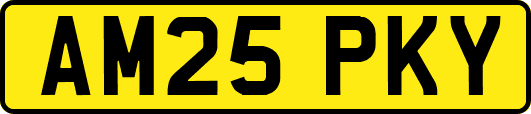 AM25PKY