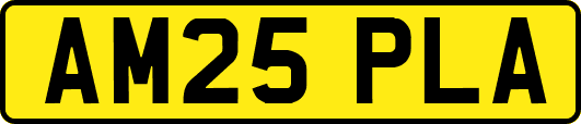 AM25PLA