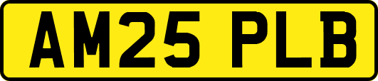 AM25PLB