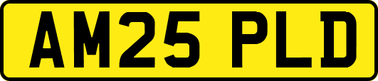 AM25PLD