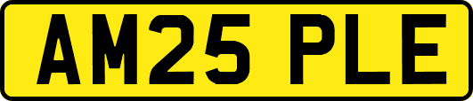 AM25PLE