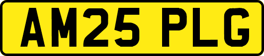 AM25PLG