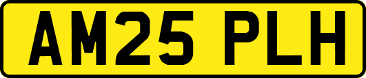 AM25PLH