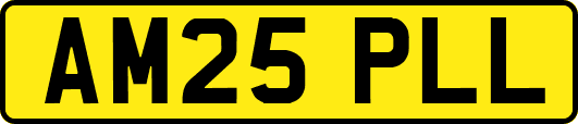AM25PLL