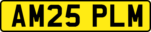 AM25PLM