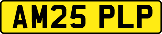 AM25PLP