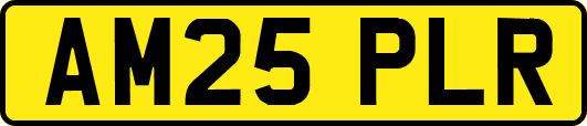 AM25PLR