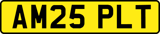 AM25PLT