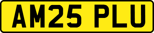 AM25PLU