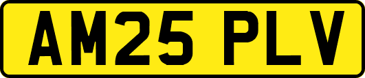 AM25PLV