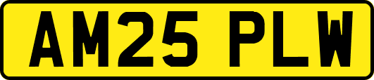 AM25PLW
