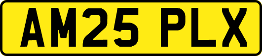 AM25PLX
