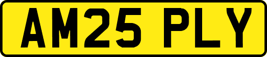 AM25PLY