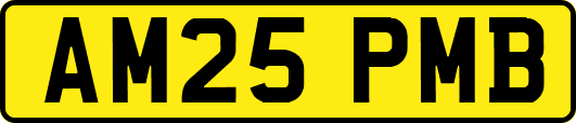 AM25PMB