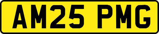 AM25PMG
