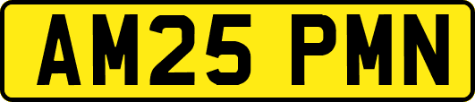 AM25PMN