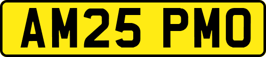 AM25PMO