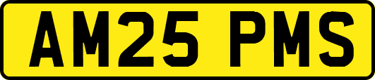 AM25PMS