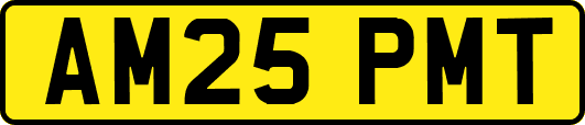 AM25PMT