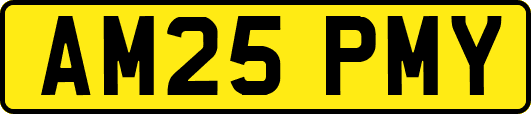 AM25PMY