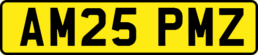 AM25PMZ