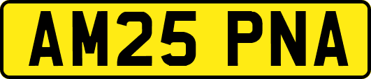 AM25PNA