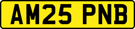 AM25PNB