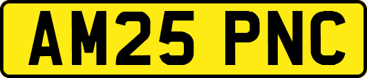 AM25PNC