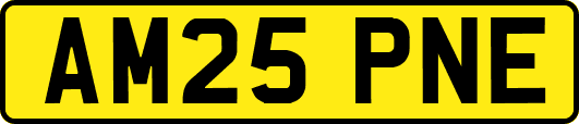 AM25PNE