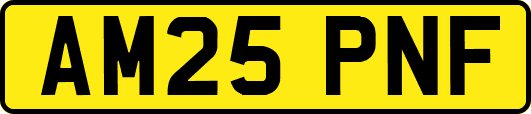 AM25PNF