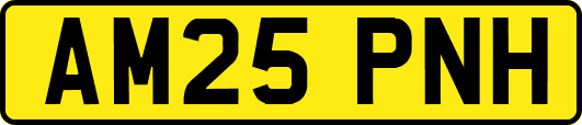 AM25PNH