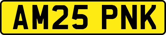AM25PNK