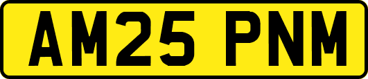AM25PNM