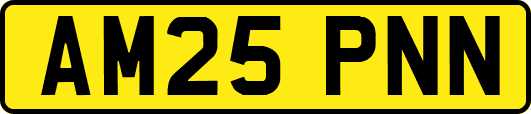 AM25PNN