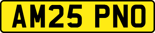 AM25PNO
