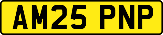 AM25PNP