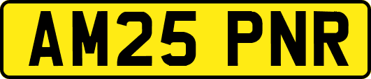 AM25PNR