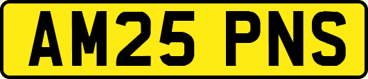 AM25PNS