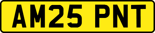 AM25PNT