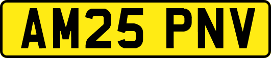 AM25PNV