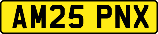 AM25PNX