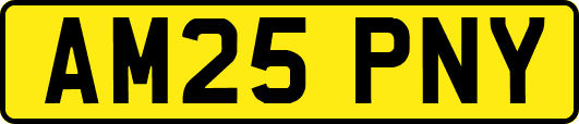AM25PNY