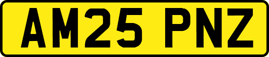 AM25PNZ