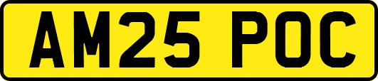 AM25POC