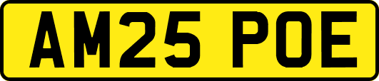 AM25POE