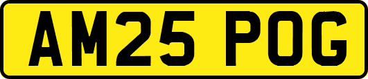 AM25POG
