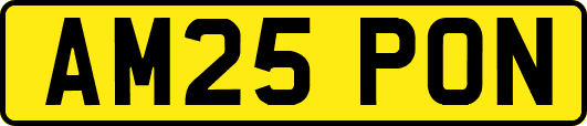AM25PON