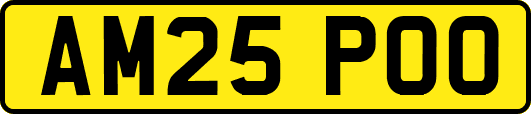 AM25POO