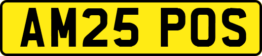 AM25POS