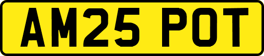 AM25POT